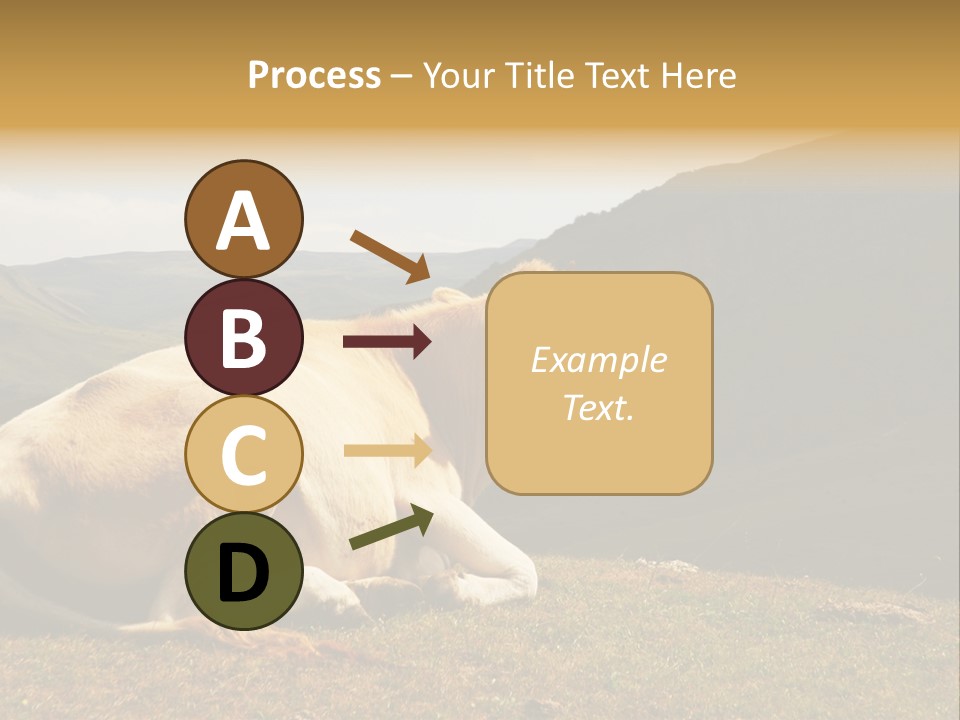 Field Herd Blond PowerPoint Template