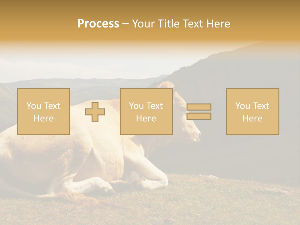 Field Herd Blond PowerPoint Template