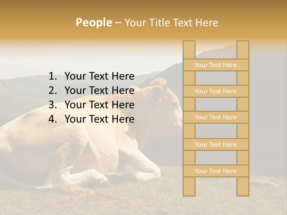 Field Herd Blond PowerPoint Template