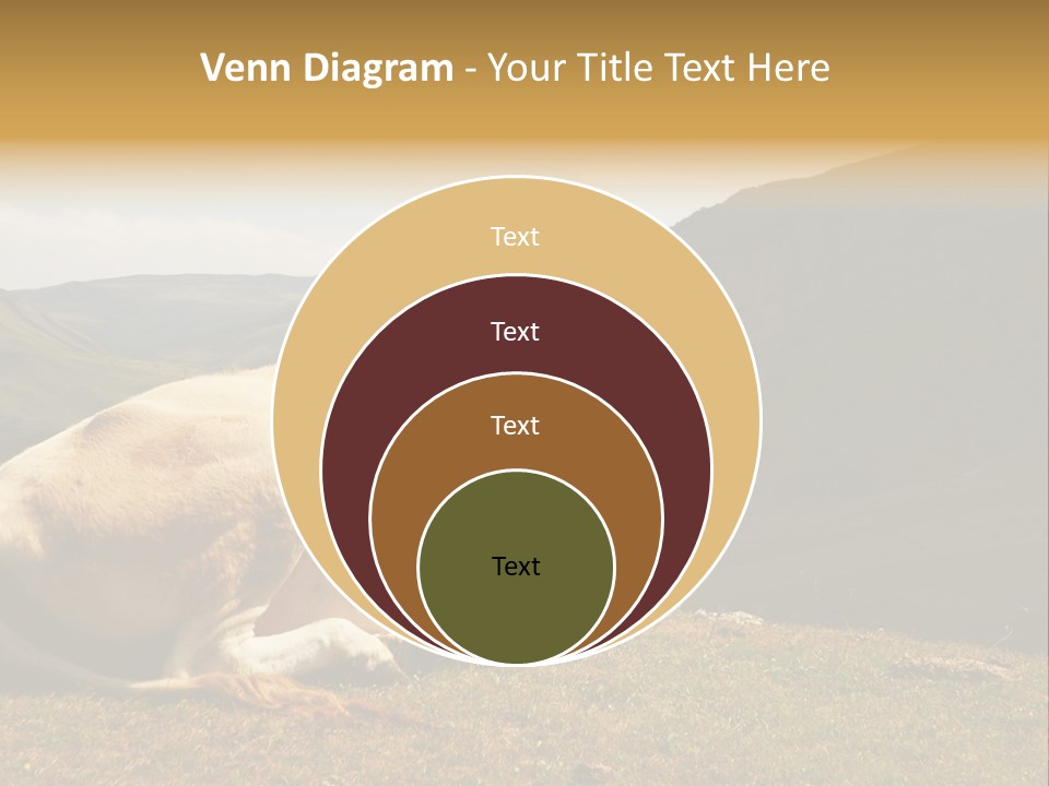 Field Herd Blond PowerPoint Template