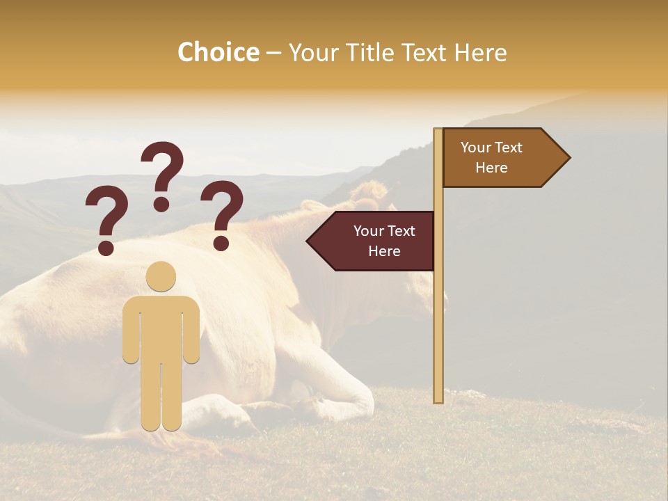 Field Herd Blond PowerPoint Template