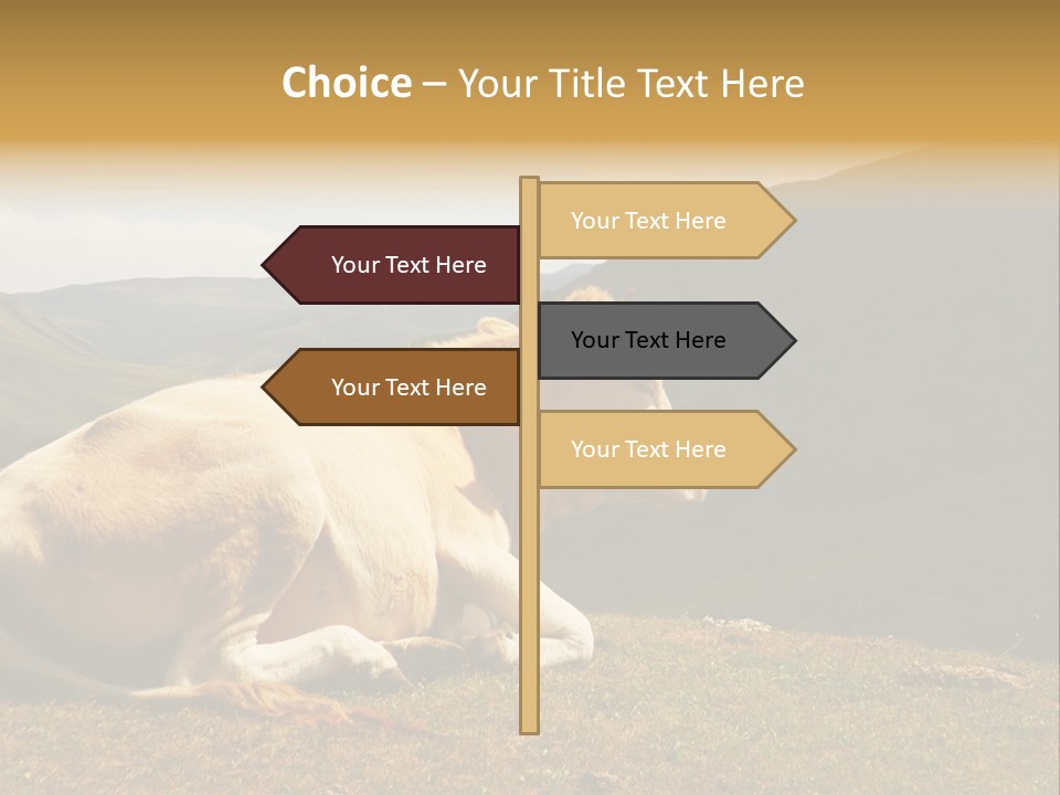 Field Herd Blond PowerPoint Template
