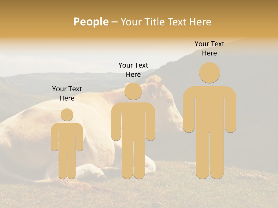 Field Herd Blond PowerPoint Template