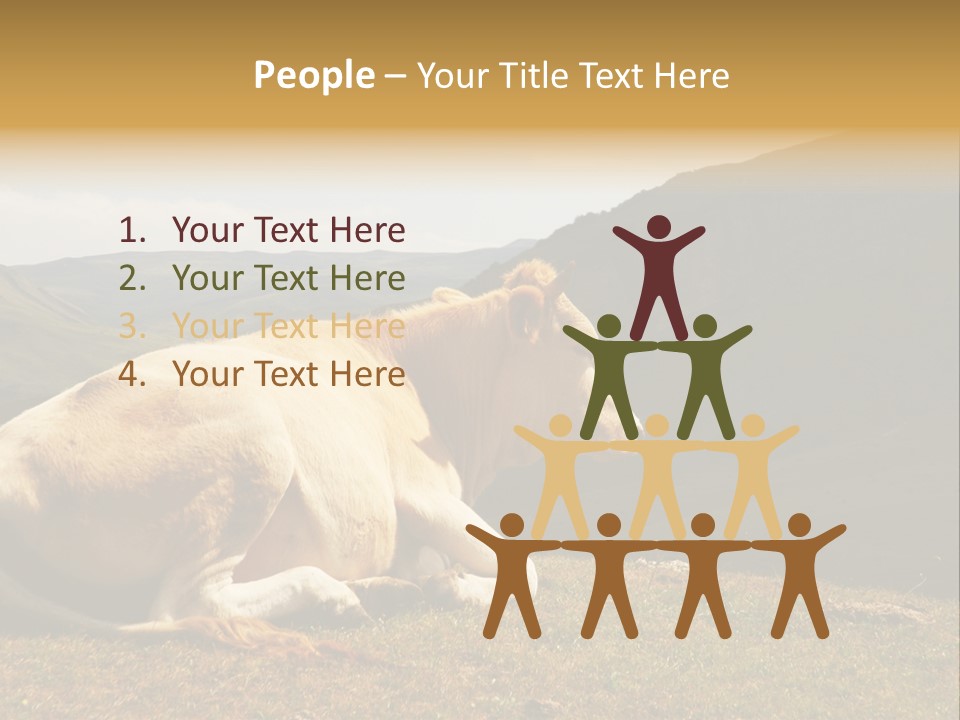 Field Herd Blond PowerPoint Template
