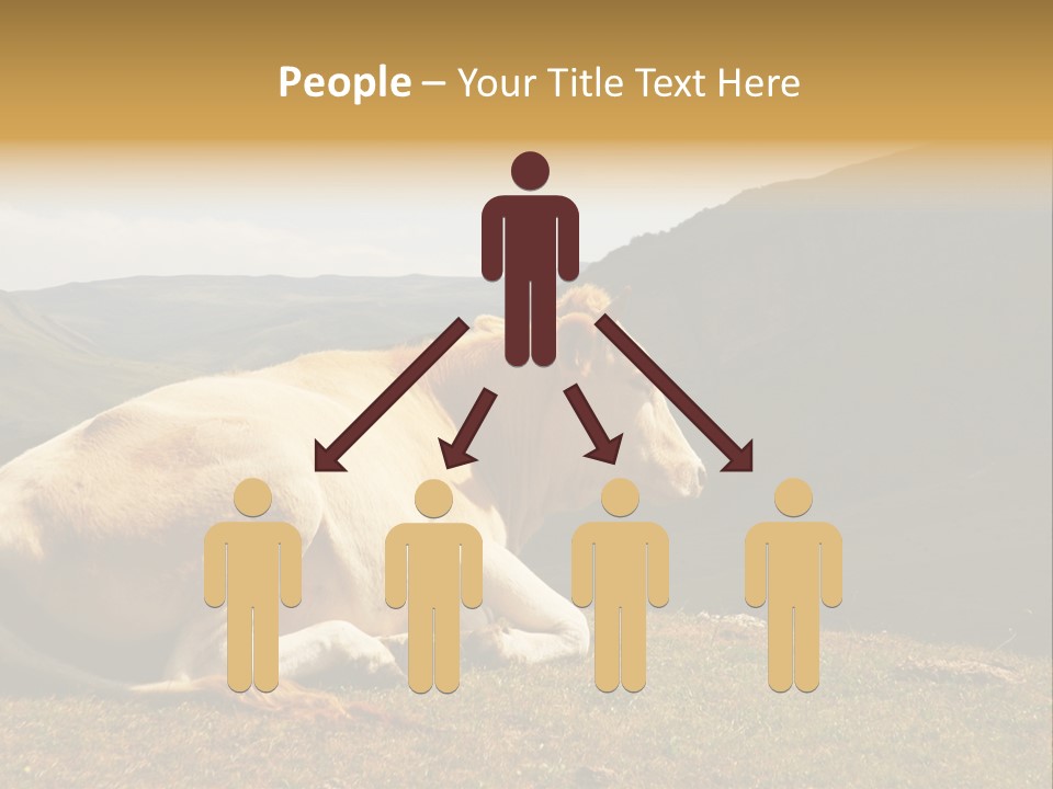 Field Herd Blond PowerPoint Template