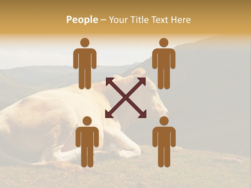 Field Herd Blond PowerPoint Template