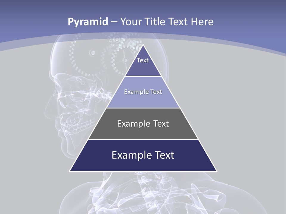 Concept Male Mind PowerPoint Template
