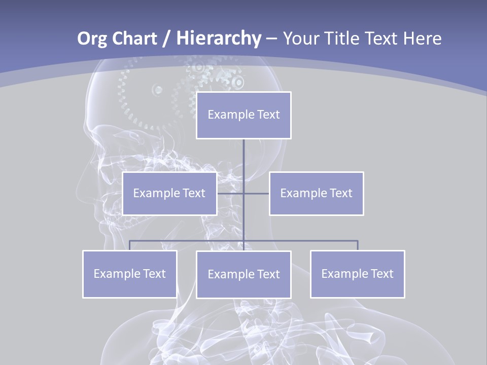 Concept Male Mind PowerPoint Template