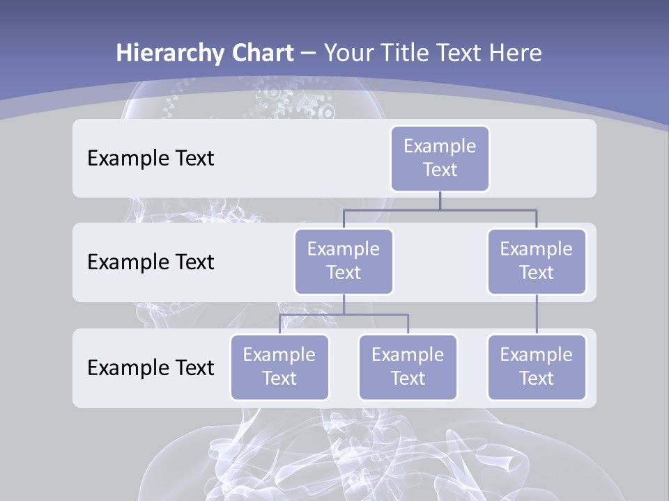 Concept Male Mind PowerPoint Template
