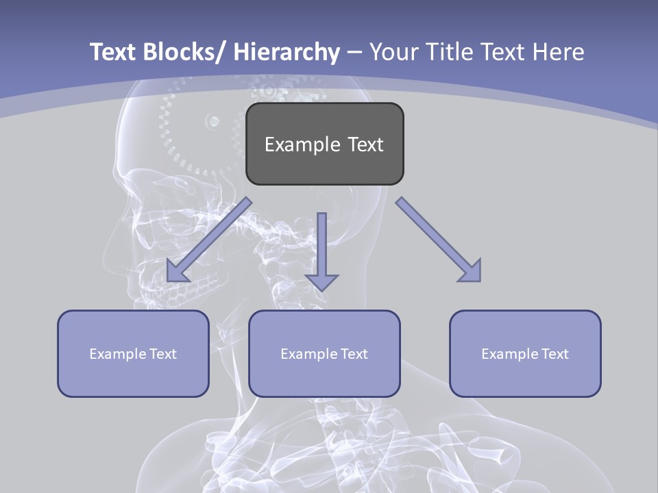 Concept Male Mind PowerPoint Template