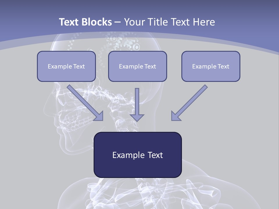 Concept Male Mind PowerPoint Template