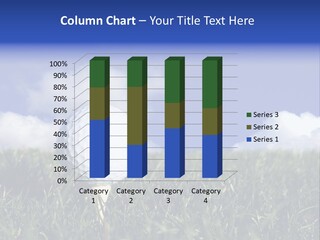 Playing Competition Grass PowerPoint Template