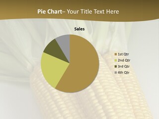 Cereal Yellow Fit PowerPoint Template