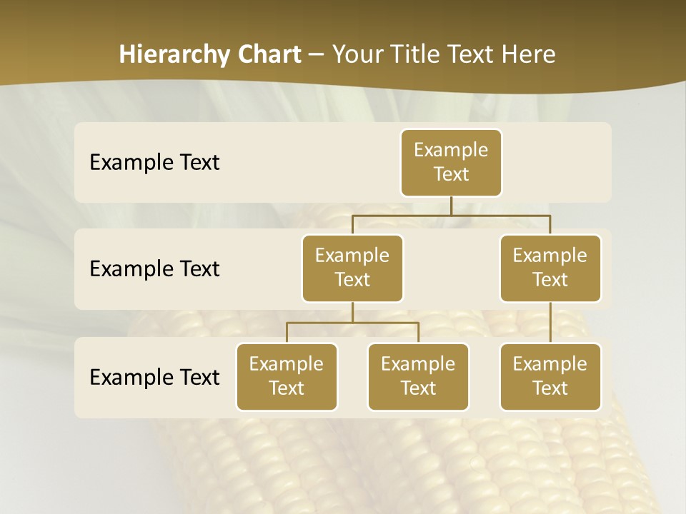 Cereal Yellow Fit PowerPoint Template