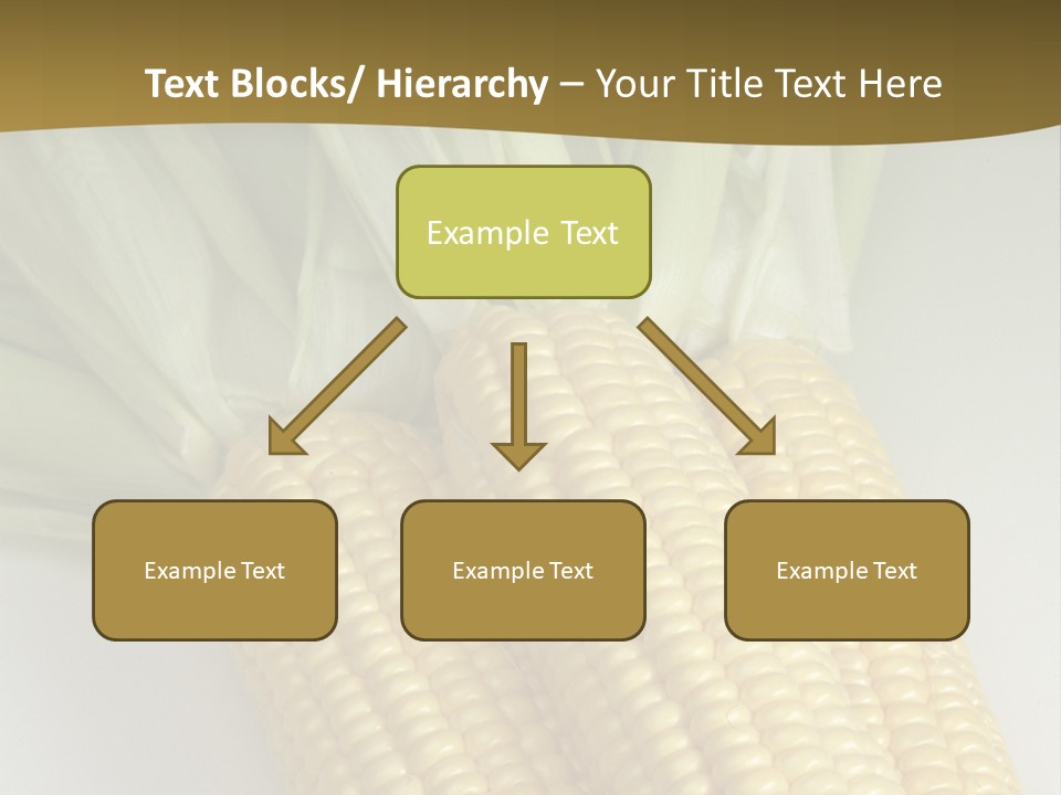 Cereal Yellow Fit PowerPoint Template