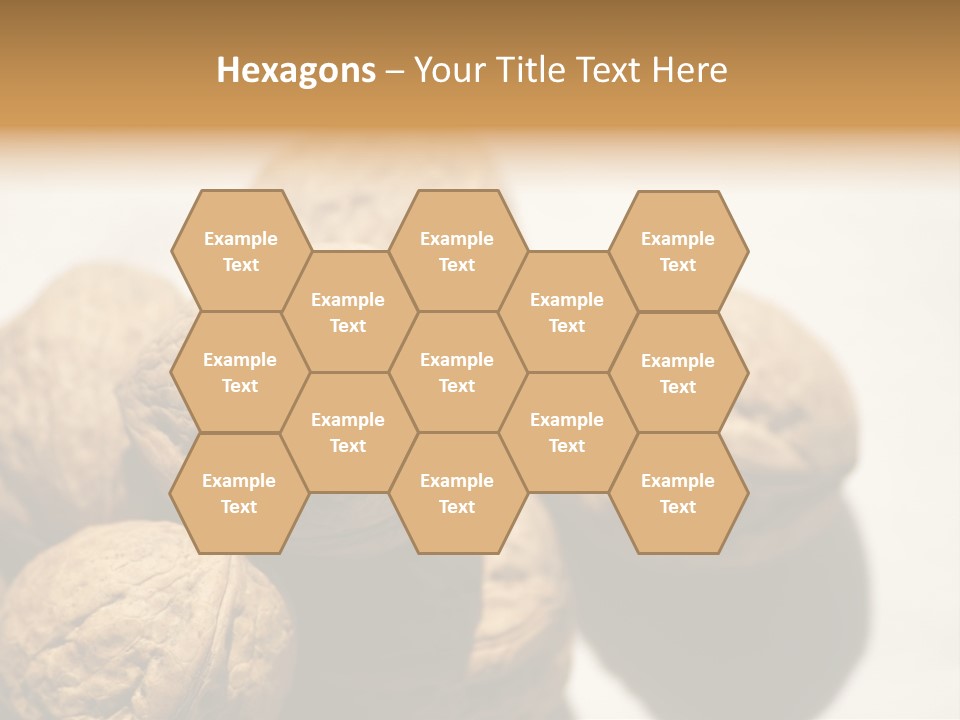 Nature Nut Exposed PowerPoint Template