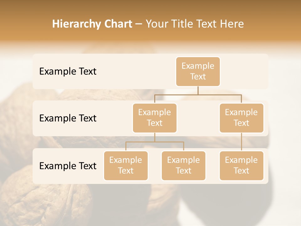 Nature Nut Exposed PowerPoint Template