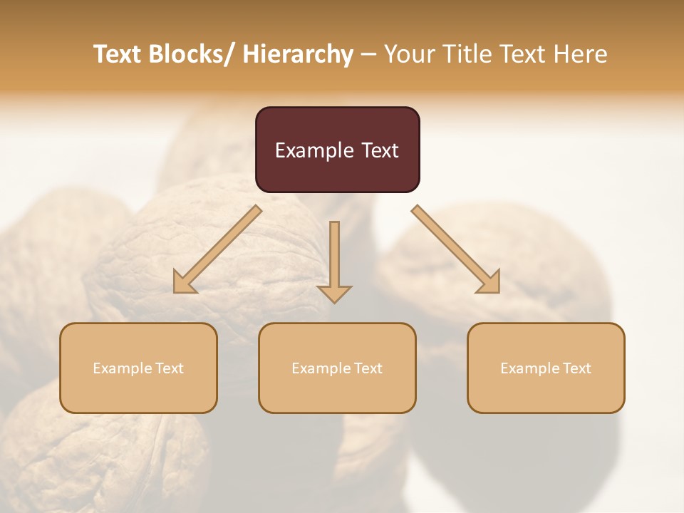 Nature Nut Exposed PowerPoint Template