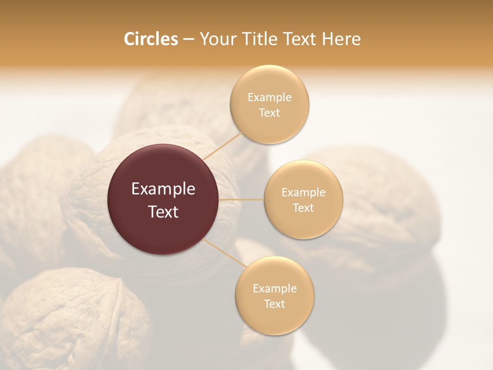 Nature Nut Exposed PowerPoint Template