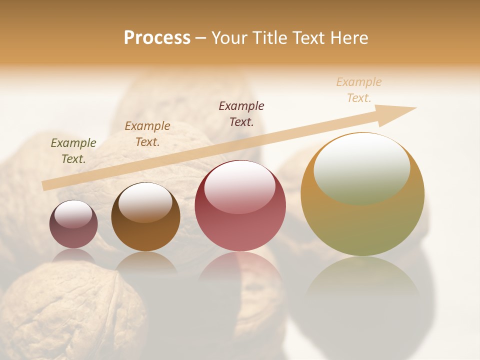 Nature Nut Exposed PowerPoint Template