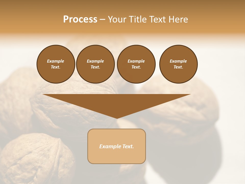 Nature Nut Exposed PowerPoint Template