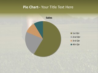 Weekend Clouds Eagle PowerPoint Template