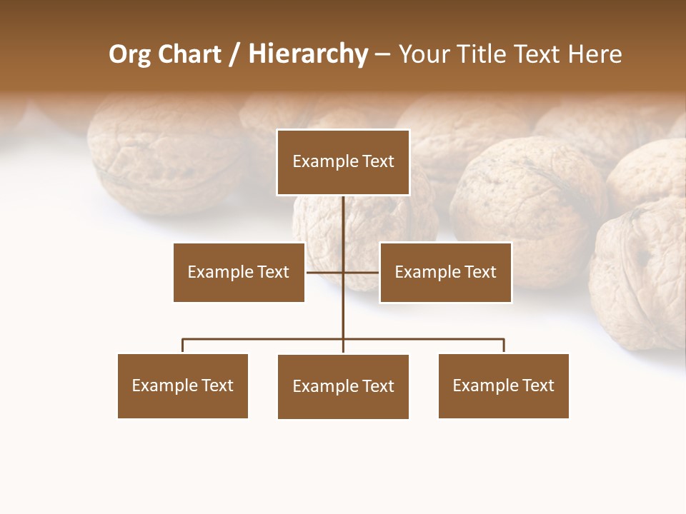 Walnut Diet Isolated On White PowerPoint Template