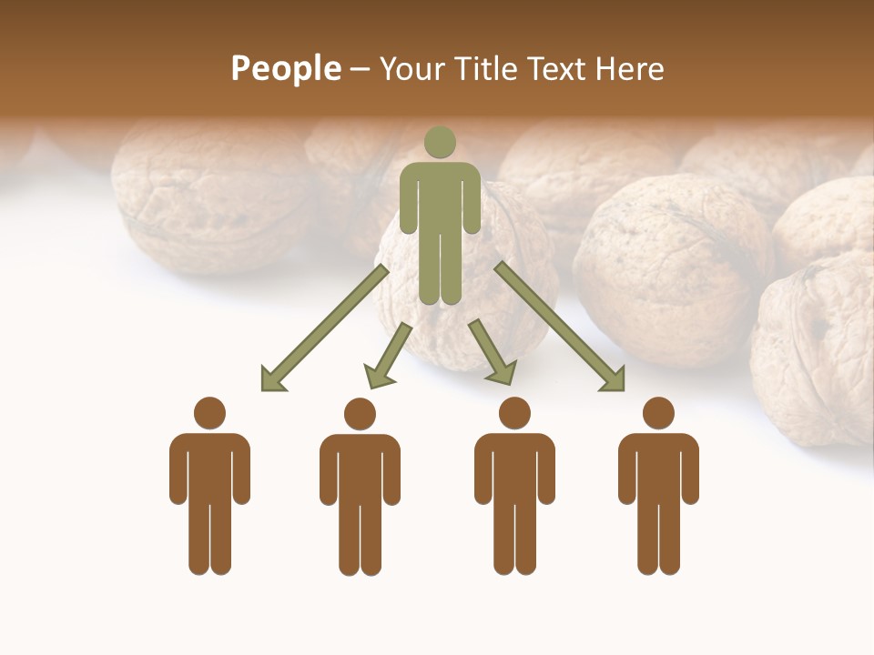 Walnut Diet Isolated On White PowerPoint Template