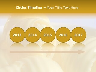 Interiors Silver Commercial PowerPoint Template
