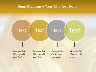 Interiors Silver Commercial PowerPoint Template