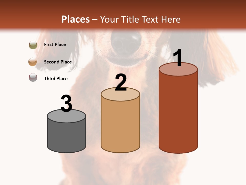Studious Cute Wiener PowerPoint Template