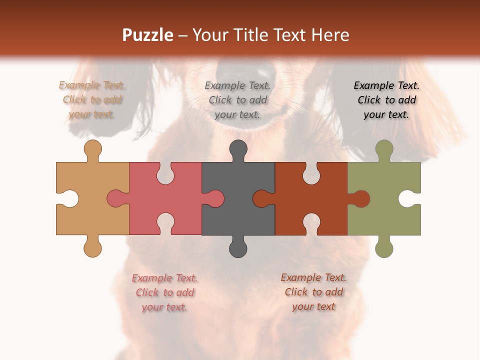 Studious Cute Wiener PowerPoint Template