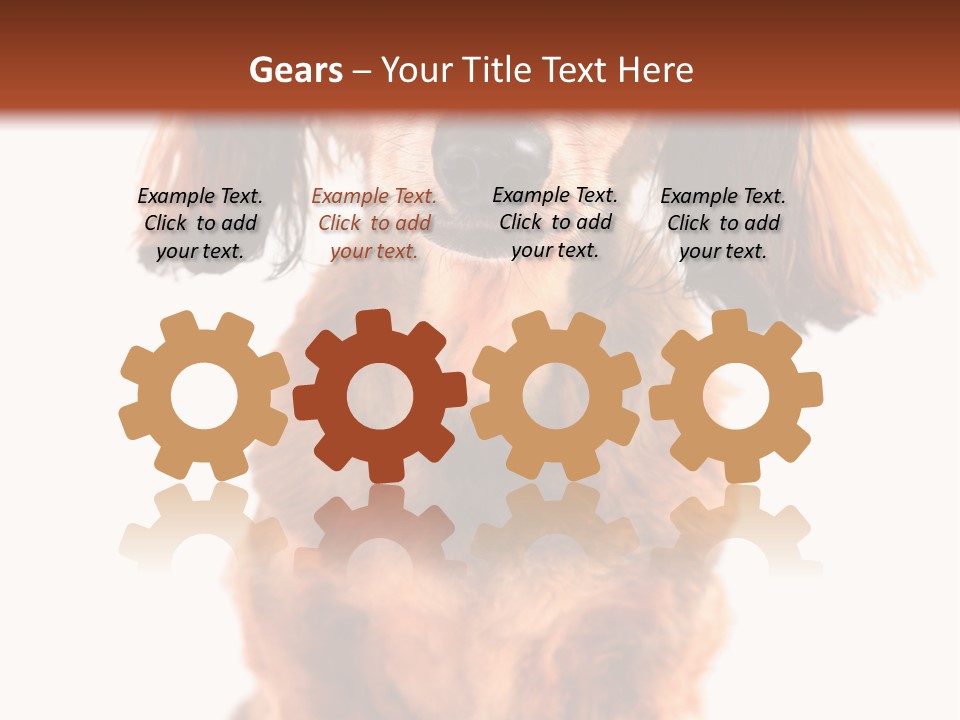 Studious Cute Wiener PowerPoint Template