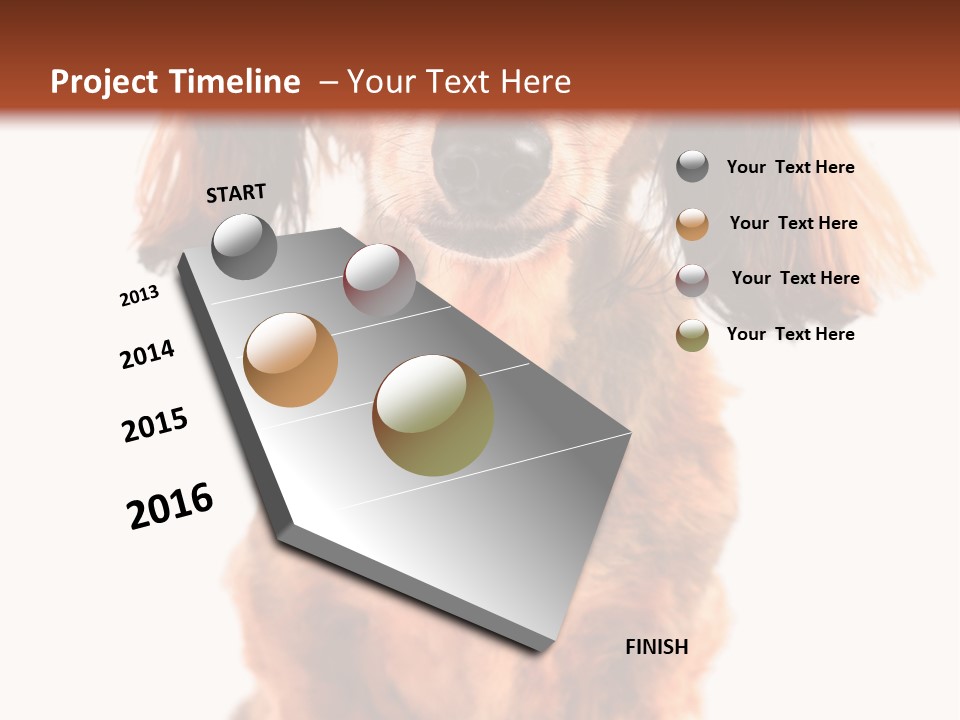 Studious Cute Wiener PowerPoint Template