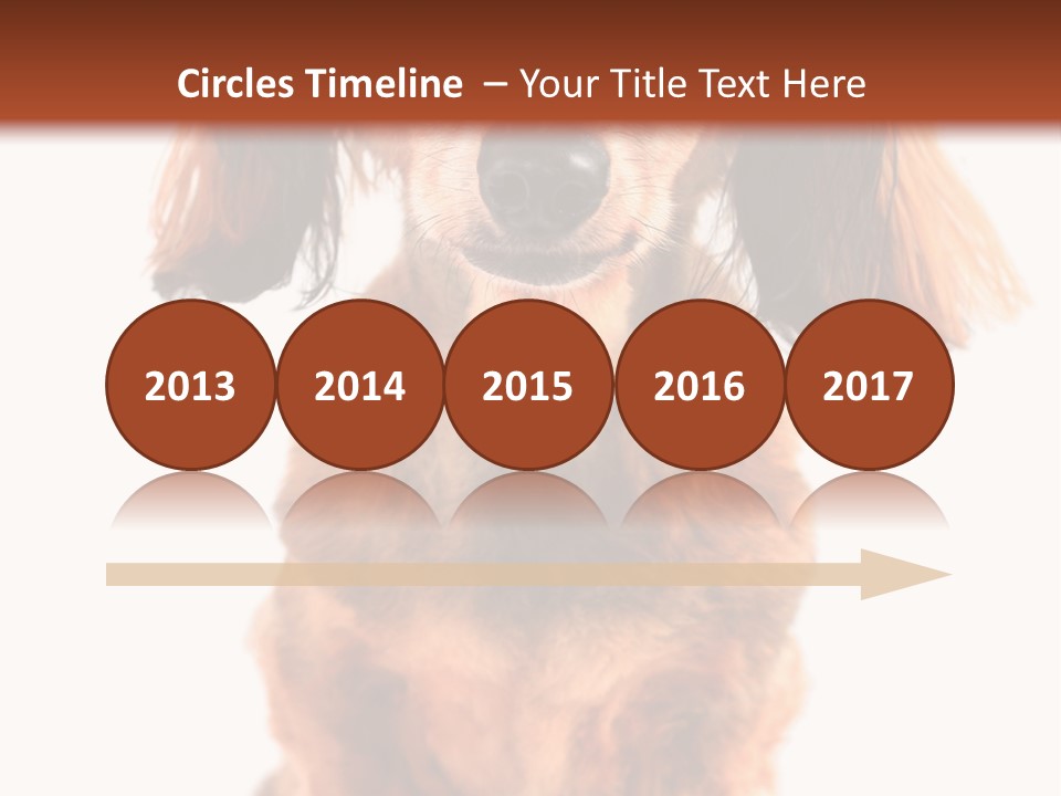 Studious Cute Wiener PowerPoint Template