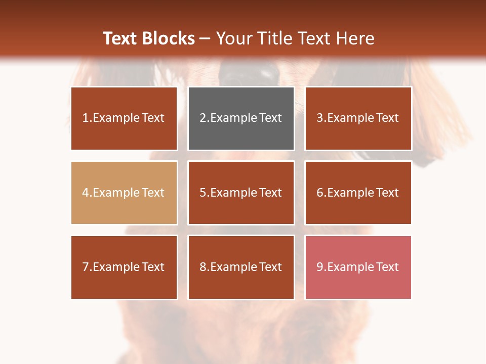 Studious Cute Wiener PowerPoint Template