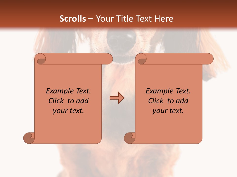 Studious Cute Wiener PowerPoint Template
