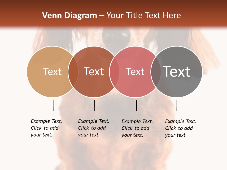Studious Cute Wiener PowerPoint Template