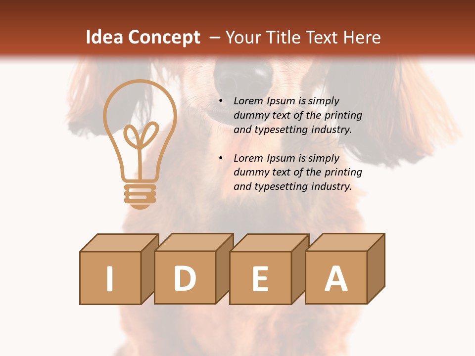 Studious Cute Wiener PowerPoint Template