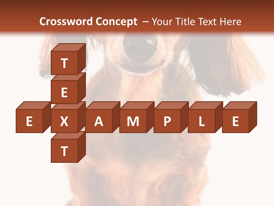 Studious Cute Wiener PowerPoint Template