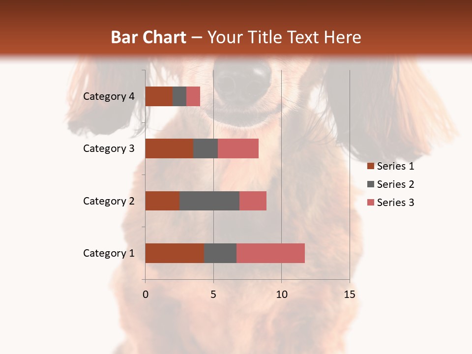 Studious Cute Wiener PowerPoint Template
