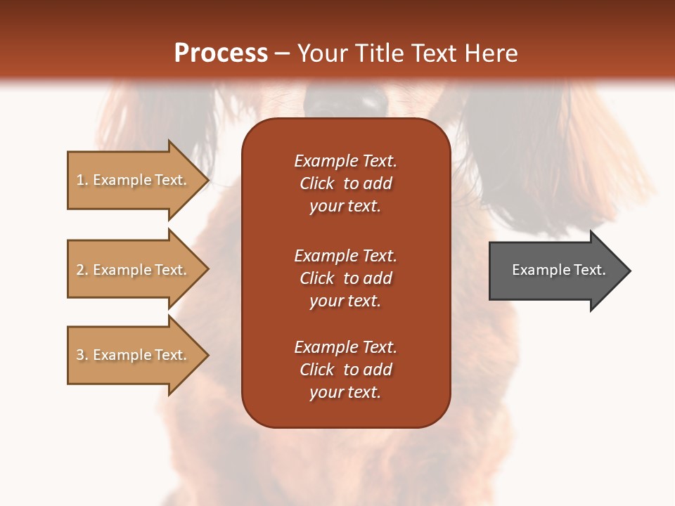 Studious Cute Wiener PowerPoint Template