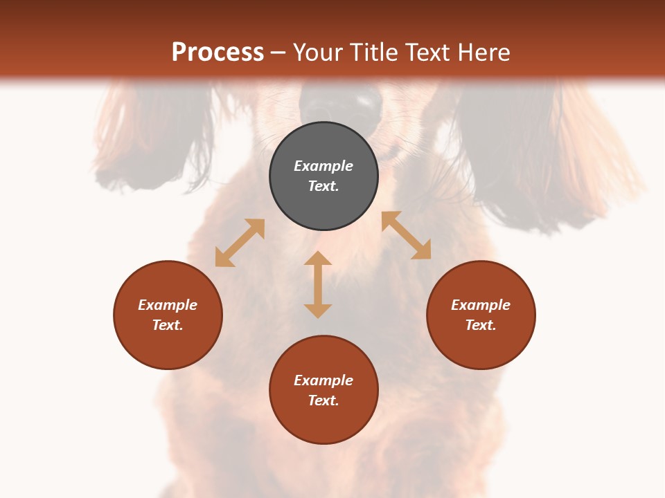 Studious Cute Wiener PowerPoint Template