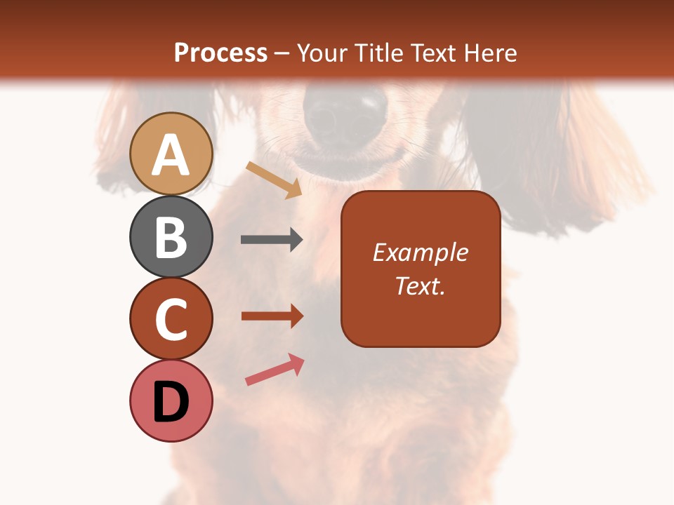 Studious Cute Wiener PowerPoint Template