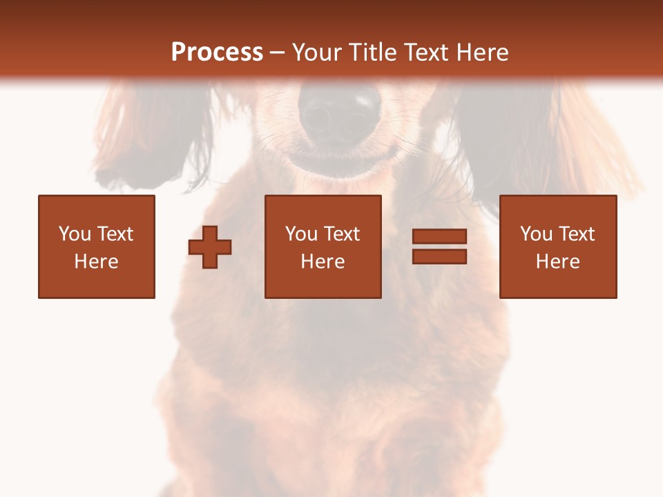 Studious Cute Wiener PowerPoint Template