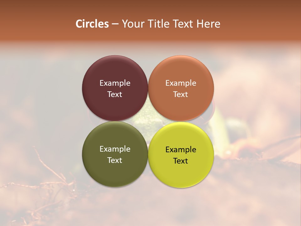 Palmer Pond Water Lily PowerPoint Template