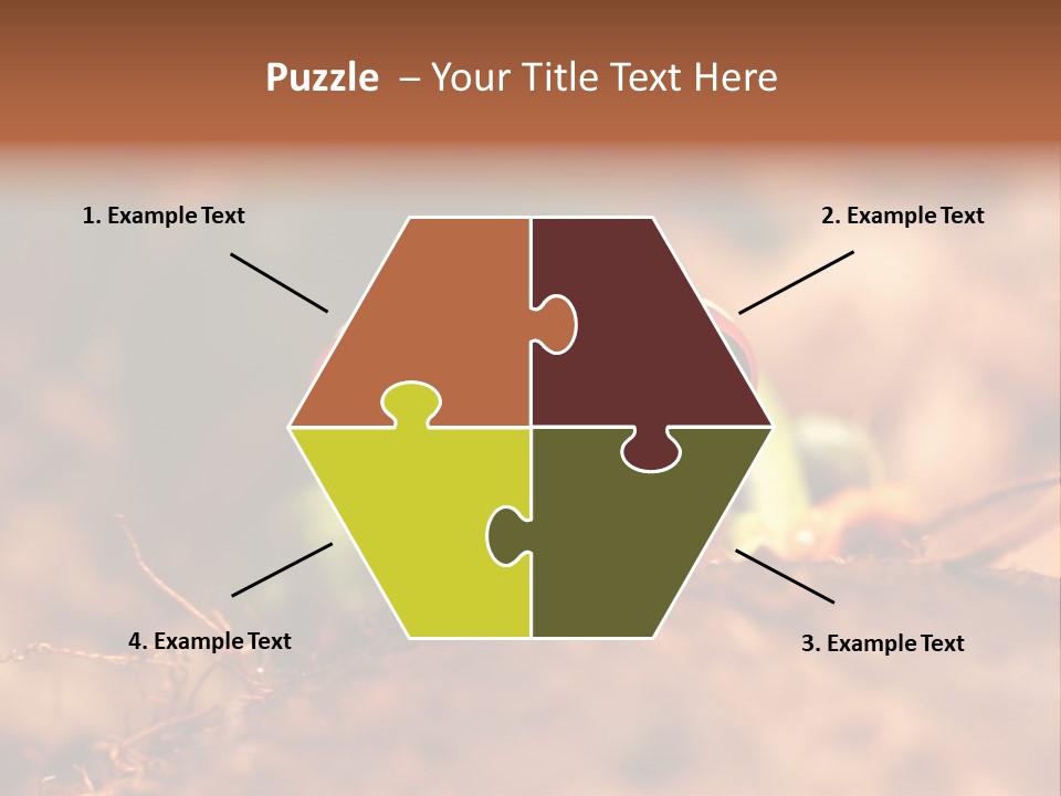 Palmer Pond Water Lily PowerPoint Template