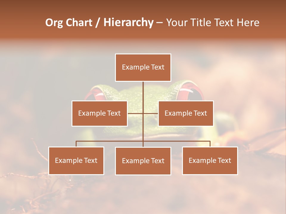 Palmer Pond Water Lily PowerPoint Template
