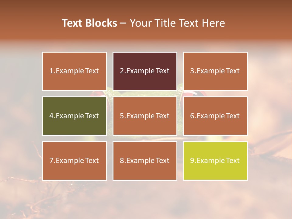 Palmer Pond Water Lily PowerPoint Template