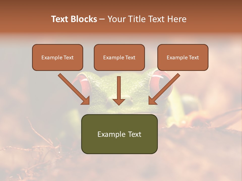 Palmer Pond Water Lily PowerPoint Template